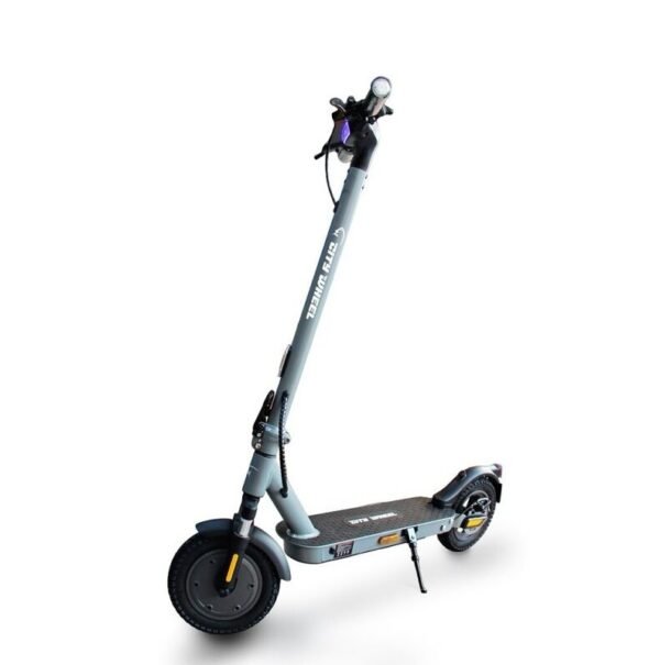 CityWheel S1 GRIS